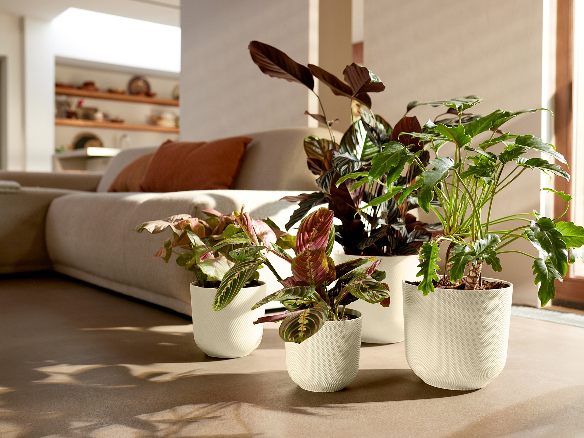 recycled plastic plant pots containing plants in a living room 