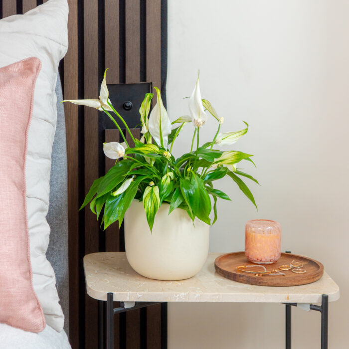 A plant in a pot on a bedside table