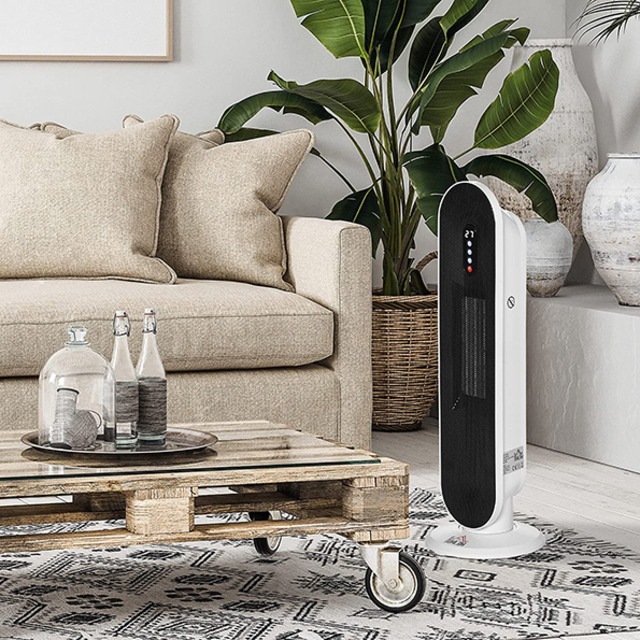 Hocom Fan heater in living room