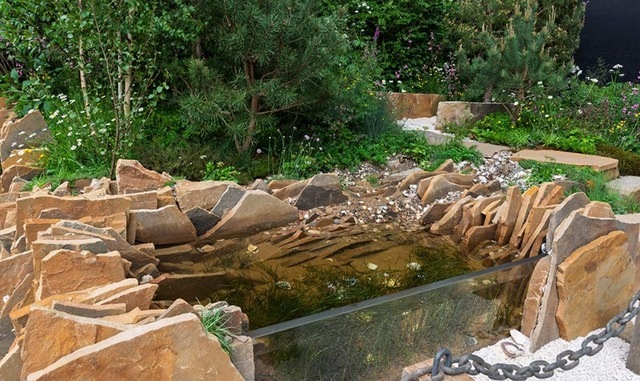 Seawild plant garden at Chelsea Flower Show