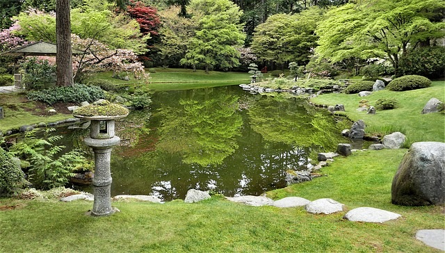 Japanese style garden