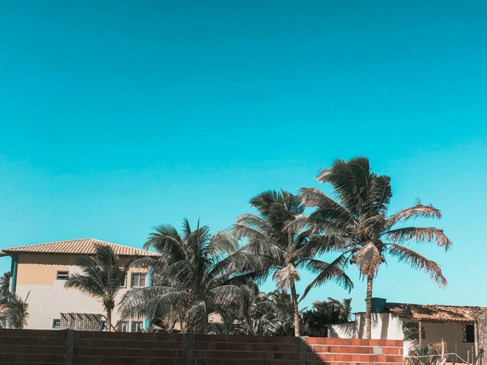 A house and palm trees against a blue sky