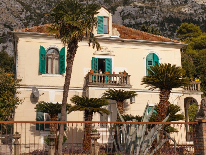 A house with green shutters and palm trees in the garden