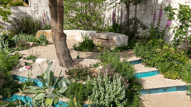 Flourish in the city RHS Chelsea Flower SHow