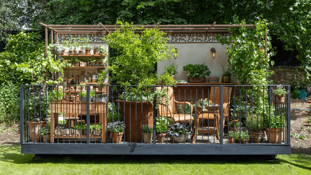 Balcony garden of shared knowledge at RHS Chelsea Flower Show 2026