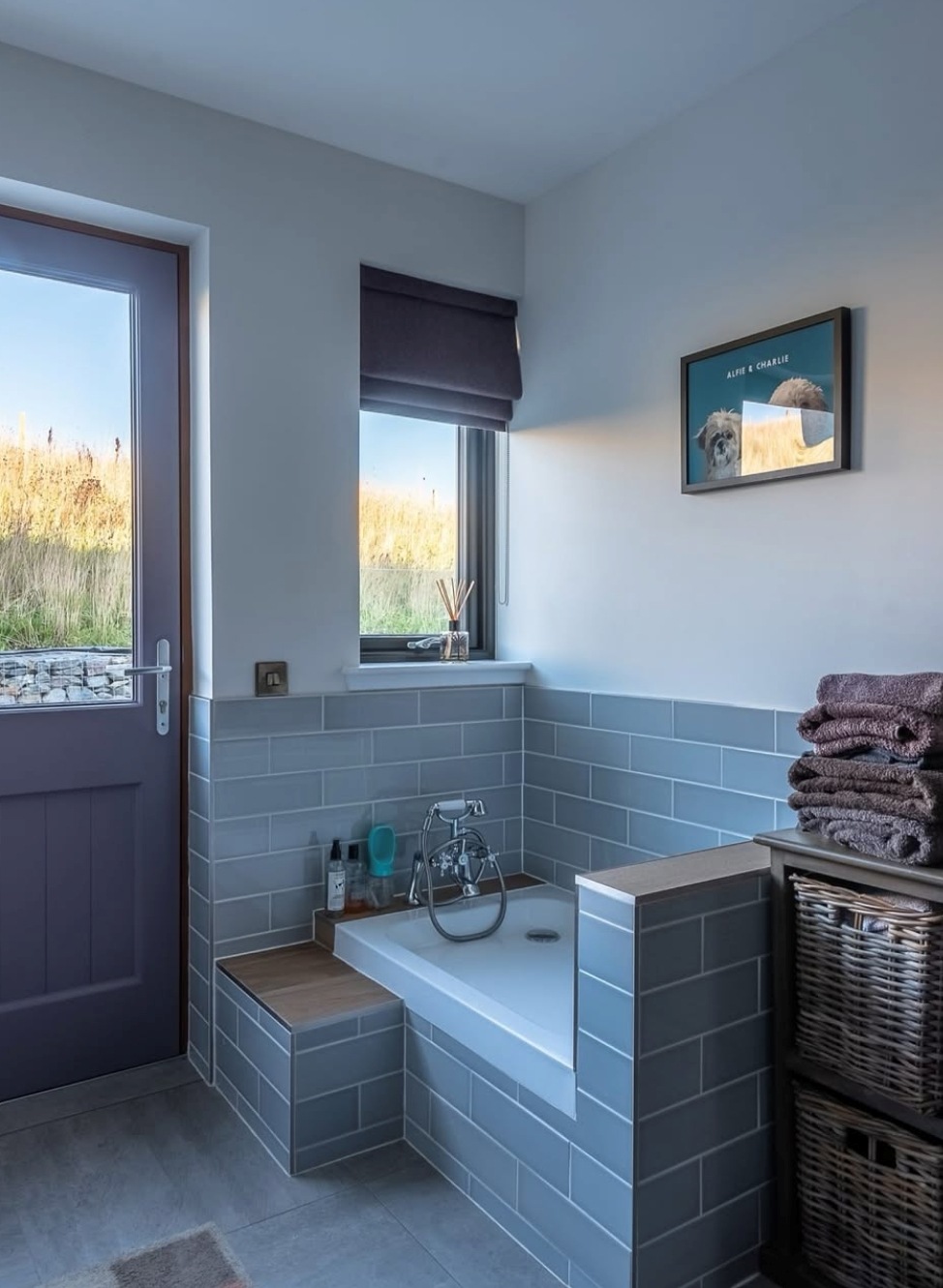 tiled dog shower